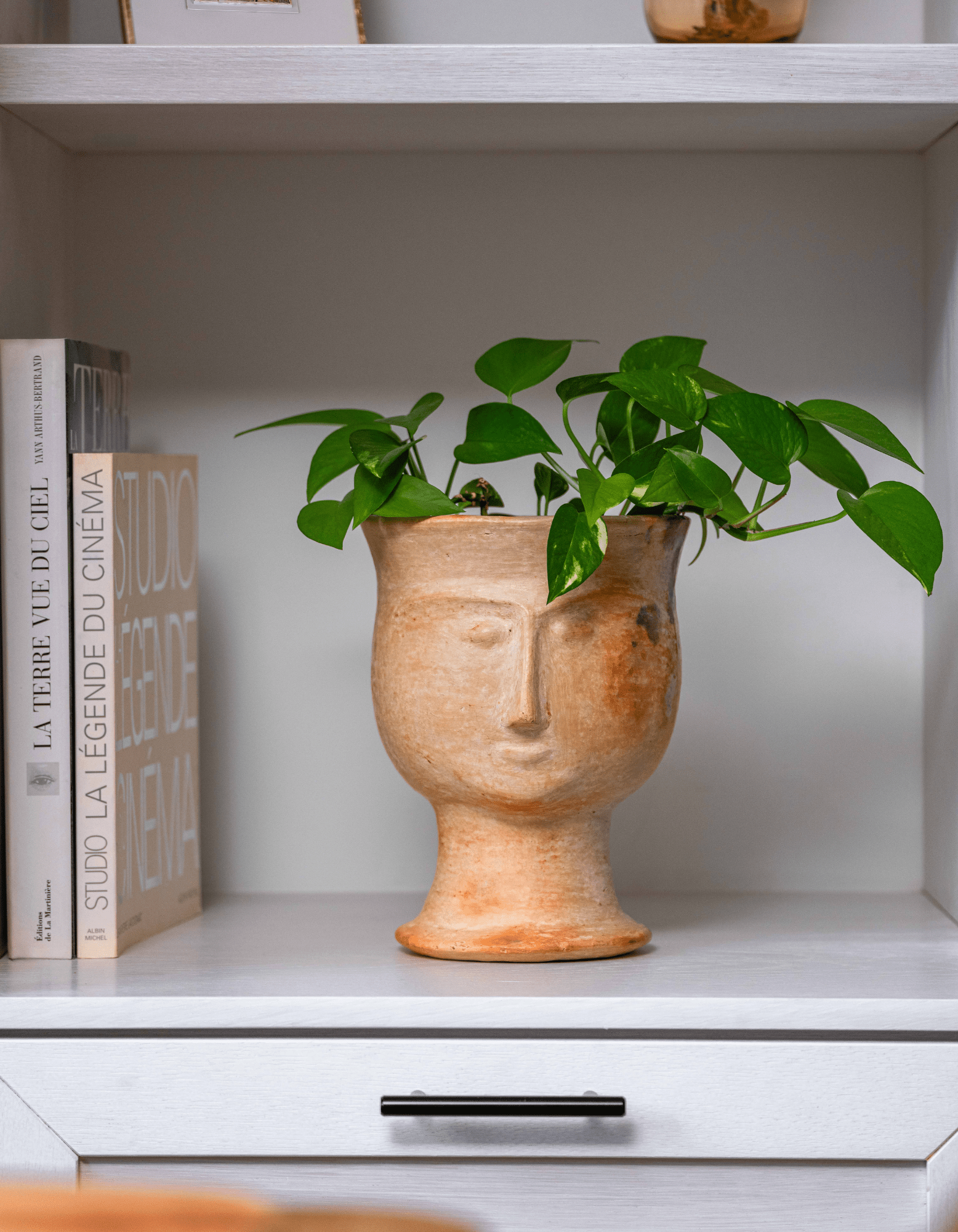 Nesma, Vase of Sejnane - ZOUZ IN